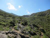 ario_path_2011_clear_157.jpg (153838 bytes)