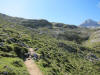 ario_path_2011_clear_172.jpg (181909 bytes)