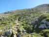 ario_path_2011_clear_176.jpg (190636 bytes)