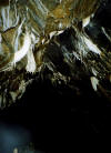 rg4_800.jpg (99544 bytes)